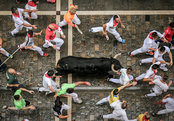 Running of The Bulls - Pamplona, Spain