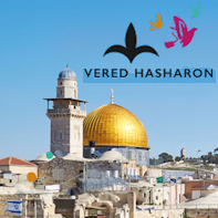 Travel Professionals Vered Hasharon Tours in Ness Ziona Center District