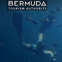 Travel Professionals Bermuda Tourism in Hamilton Pembroke Parish